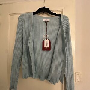 Aritzia Blue Cardigan Sweater with Relaxed Fit